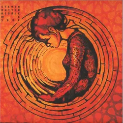Steven Rutter - Riddle Me Sane 2x12"
