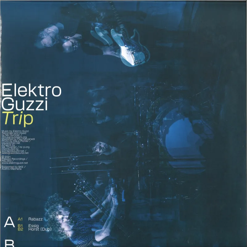 Elektro Guzzi - Trip 2x12"