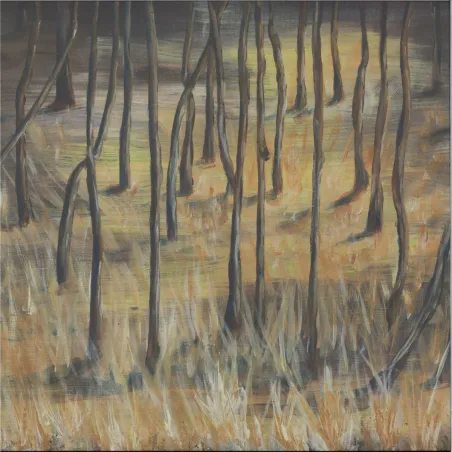 Eddie Hale - Far Beyond LP 2x12"