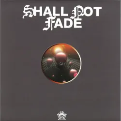 Lis Sarroca - Our Times EP