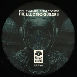 Various - The Electro Guilde II