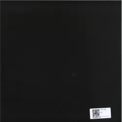 The Silence - Incomplete Darkness