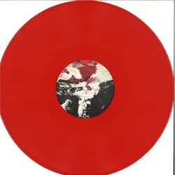 Rzvx - Tears In The Forest