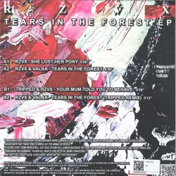 Rzvx - Tears In The Forest