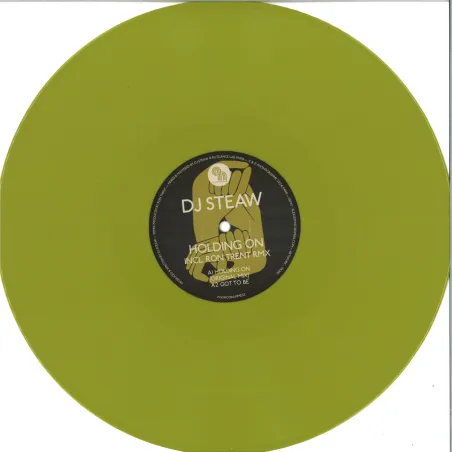 Dj Steaw - Holding On