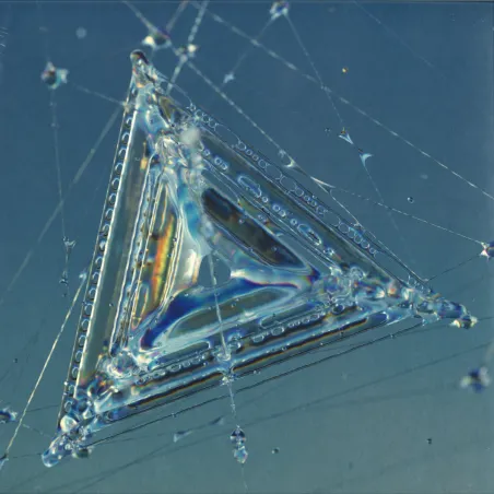 Kevin De Vries&Y Do I - Saga