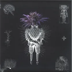 Altarf/Denev - 123.ro - VA04