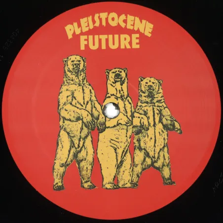 Lenson&543Ff - Pleistocene Future 8