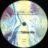 Ethereal Logic - Intergalactic World Music Remixed