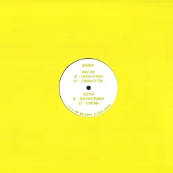 Mike Inzinger - Final Report