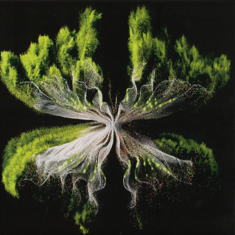 Rebūke - Along Came Polly