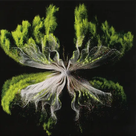 Rebūke - Along Came Polly