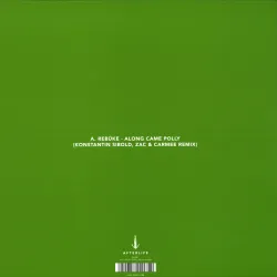 Rebūke - Along Came Polly