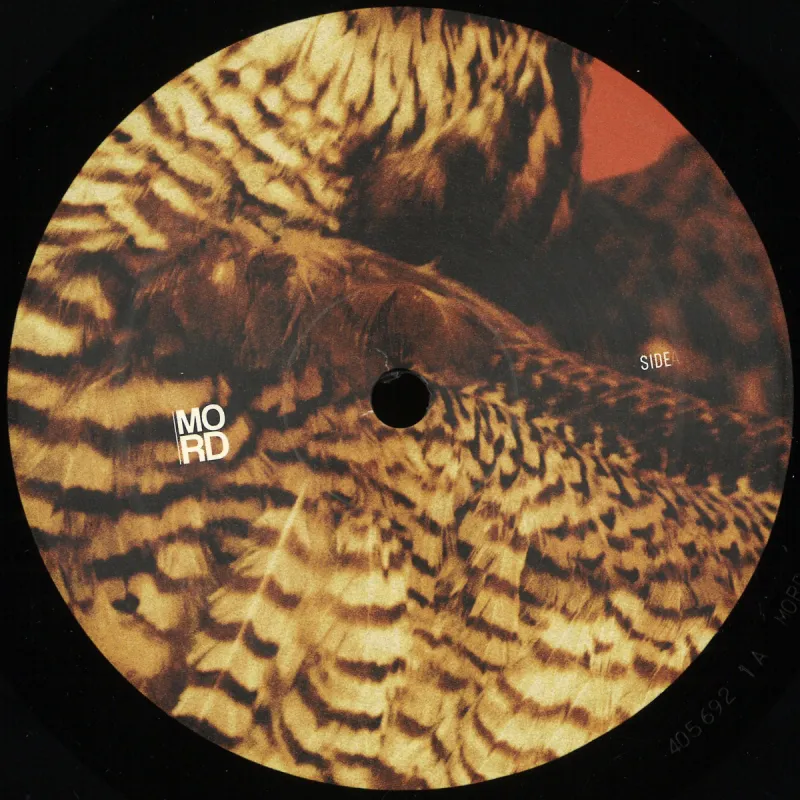 Amorphic&Tensal - Highland Frequencies EP