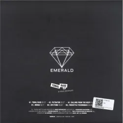 Remco Beekwilder - Tonal Raid EP