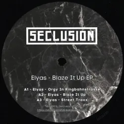 Elyas - Blaze It Up