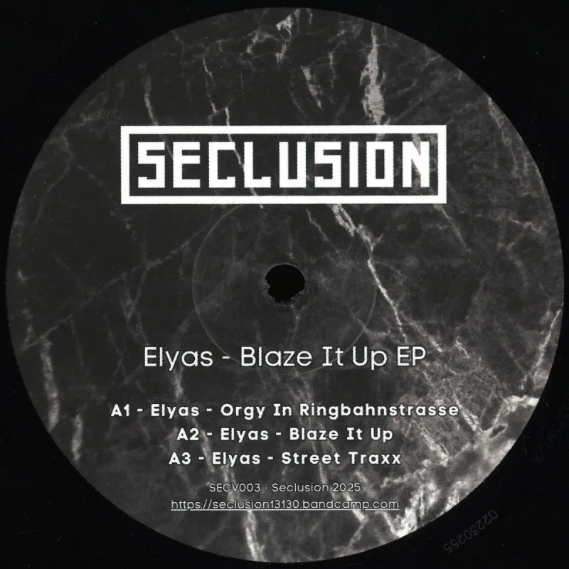 Elyas - Blaze It Up