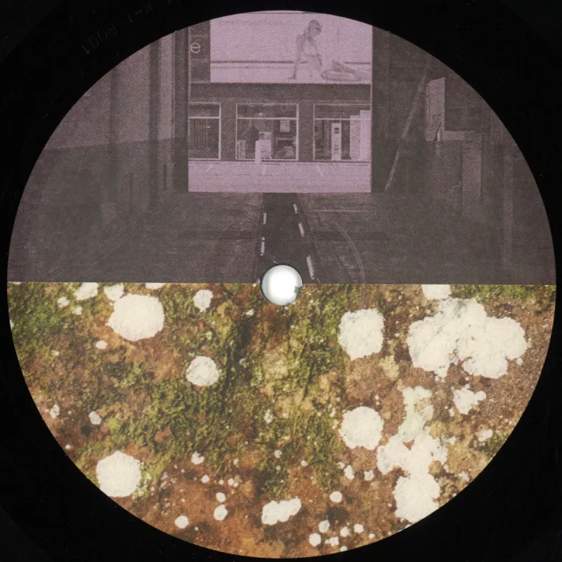 Rene Wise/Arthur Robert - Selected Reissues 1.0