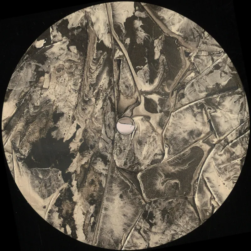 Casual Treatment&Jonas Kopp - Co.lab EP