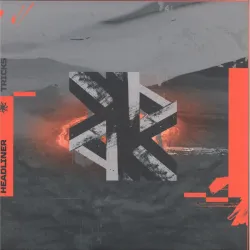 Not A Headliner - FAKE TRICKS