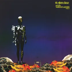 Various - Various Moods Vol. 4