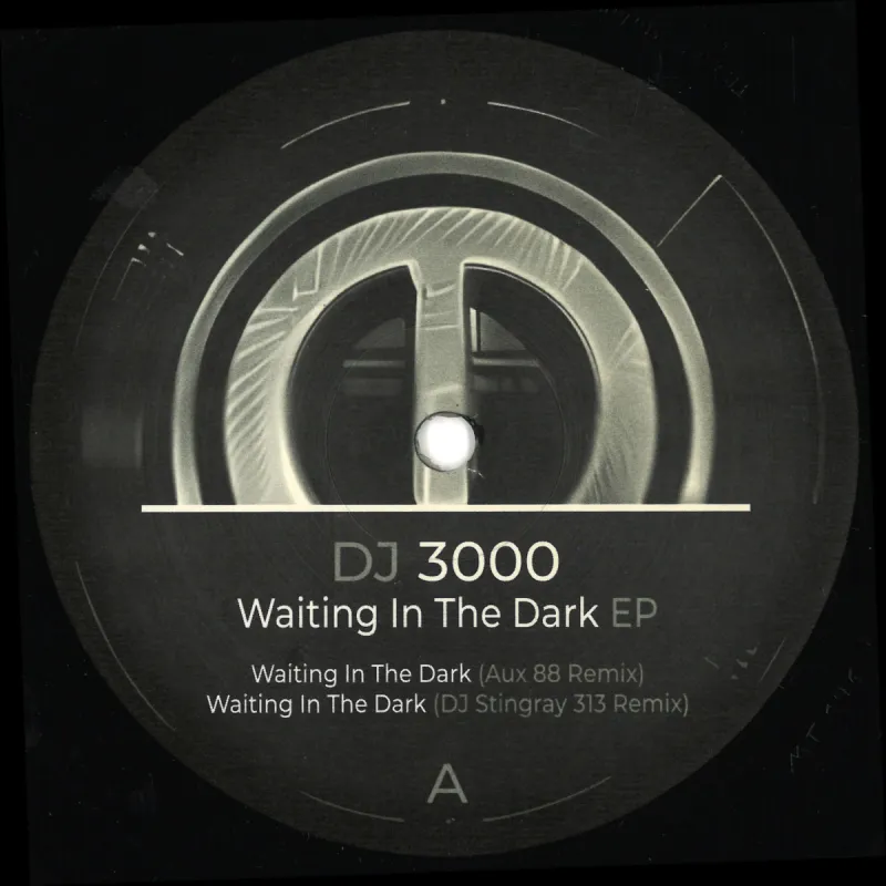 DJ 3000 - Waiting in the Dark EP