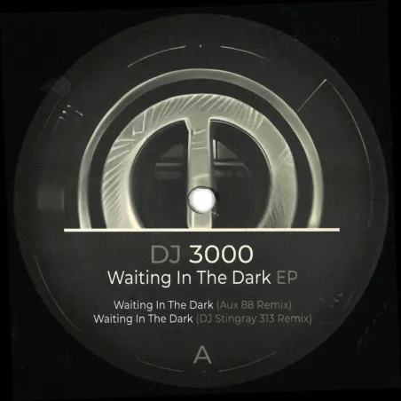 DJ 3000 - Waiting in the Dark EP