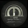 DJ 3000 - Waiting in the Dark EP
