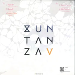 Various - Xuntanza Vol. V
