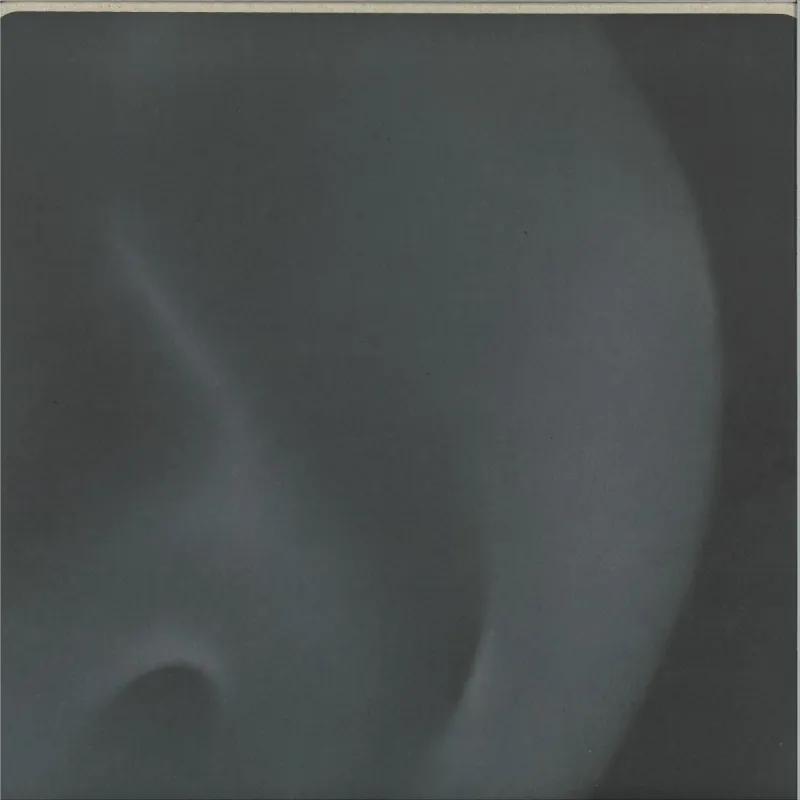 Feral - A Look Within