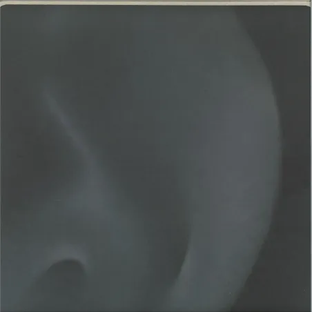 Feral - A Look Within