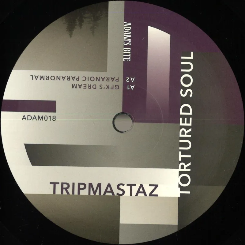 Tripmastaz - Tortured Soul