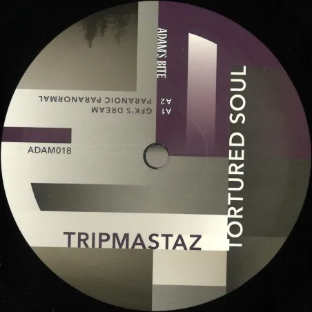 Tripmastaz - Tortured Soul