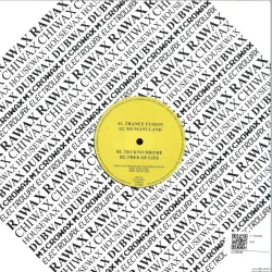 Boo Williams - Nuclear Transit EP