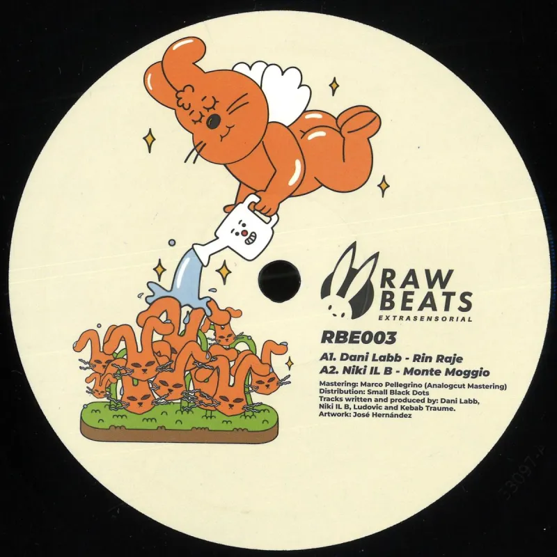 Various - Rawbeats Extrasensorial 003