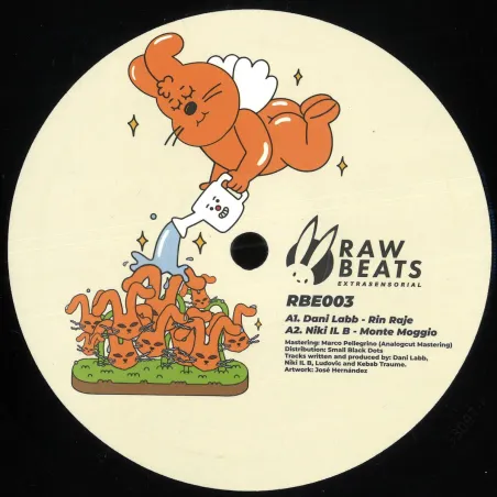 Various - Rawbeats Extrasensorial 003