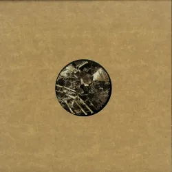 Shlomo, Francois X, PVNV, Birth Of Frequency - VARIOUS ARTISTS EP(2017 REPRESS)