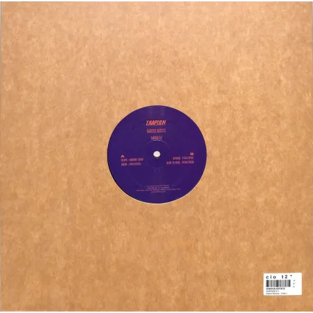 Various Artists - TAAPION 017