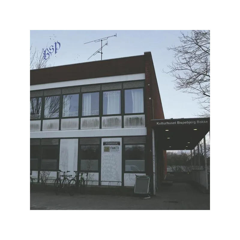 inconnu - BSP 001 [stickered sleeve / incl. insert]