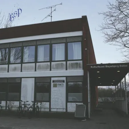 inconnu - BSP 001 [stickered sleeve / incl. insert]