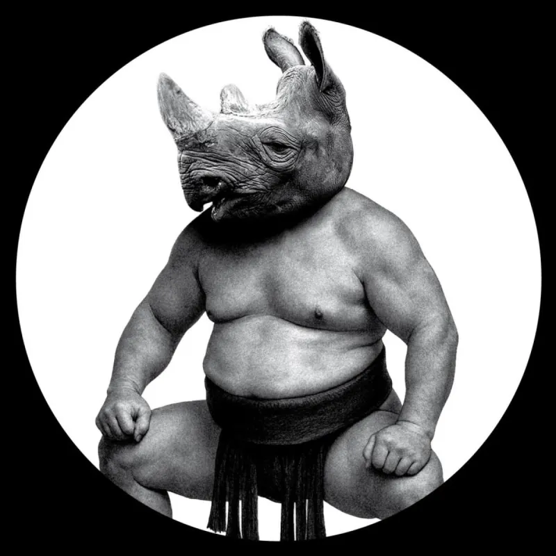 CONCEPTUAL - BETWEEN SAND AND ROSES