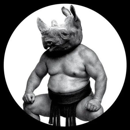 CONCEPTUAL - BETWEEN SAND AND ROSES