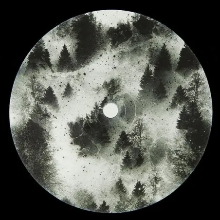 PVNV - Consortium EP [Regular Sleeve]