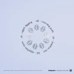 Larsson - Night Digging EP [printed sleeve]