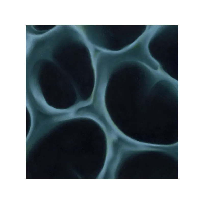 BLNDR - Radiolaria [printed sleeve / 180gr]