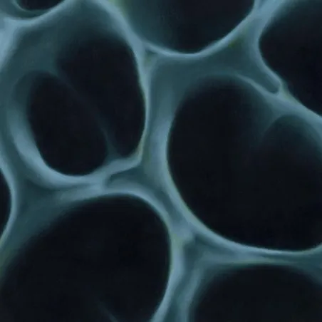 BLNDR - Radiolaria [printed sleeve / 180gr]