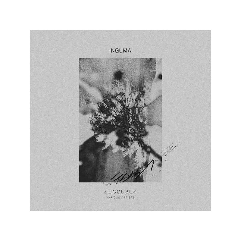 inconnu - Succubus [printed sleeve]