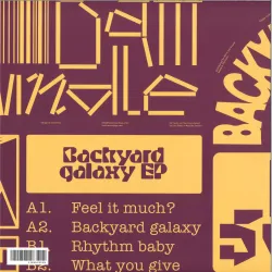 Dam Swindle - Backyard galaxy EP