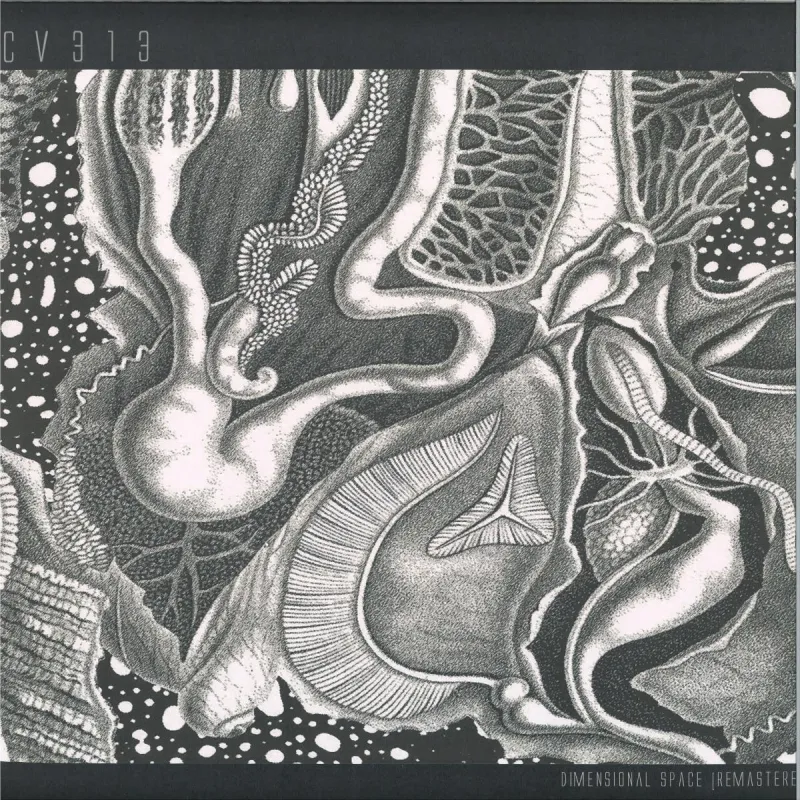 cv313 - dimensional space 3x12"