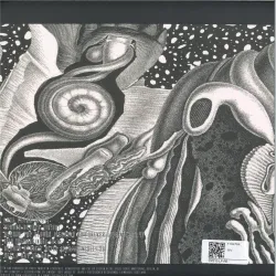 cv313 - dimensional space 3x12"